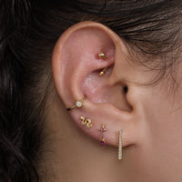 Gold Rook Barbell | Single