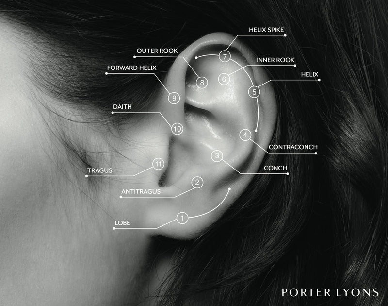 PL Piercing Guide - Porter Lyons