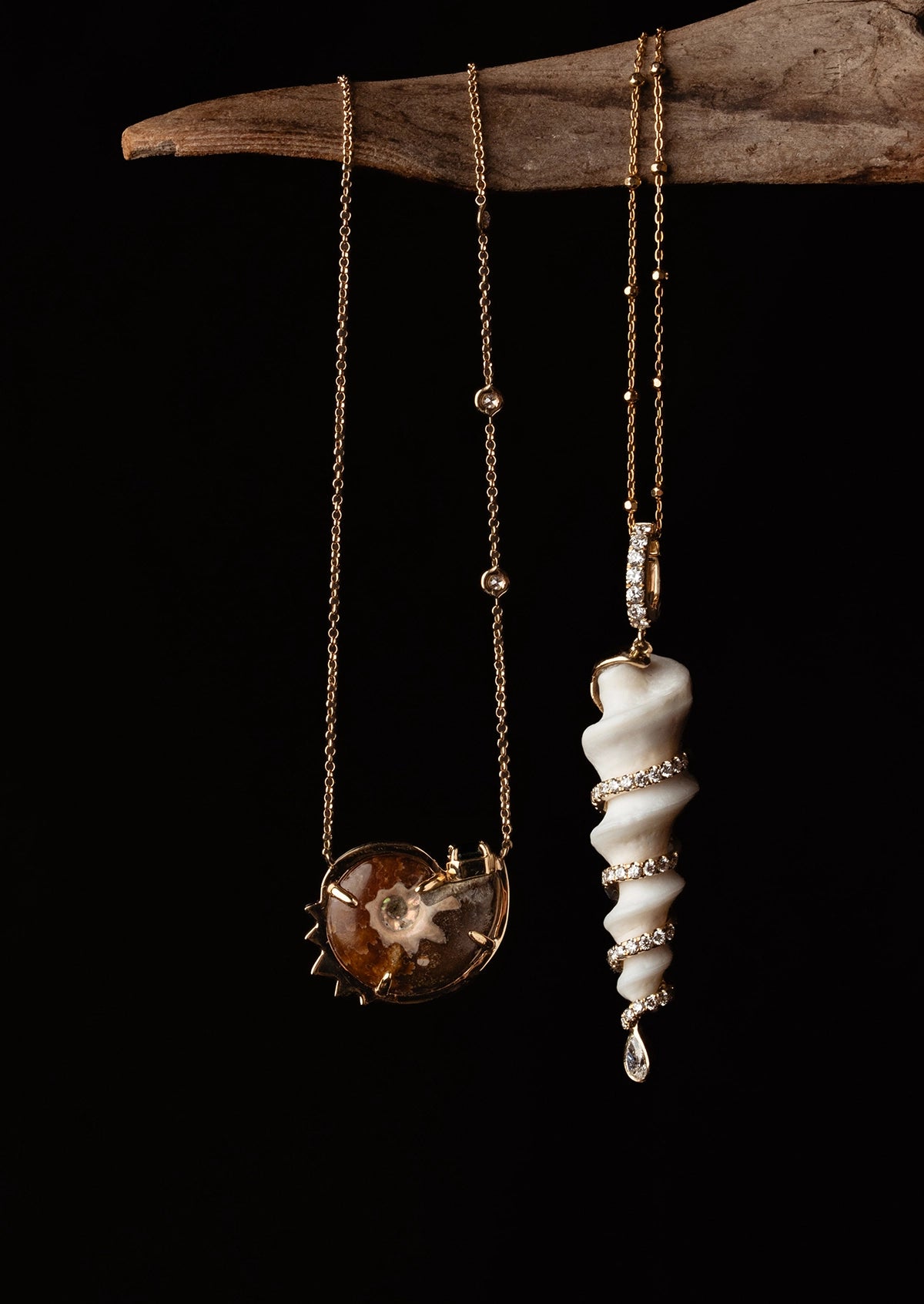 Spiral Ammonite Necklace