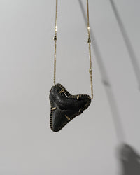 Megalodon Shark Tooth Necklace