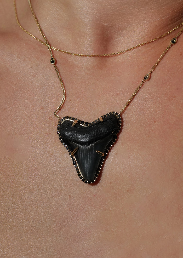 Megalodon Shark Tooth Necklace