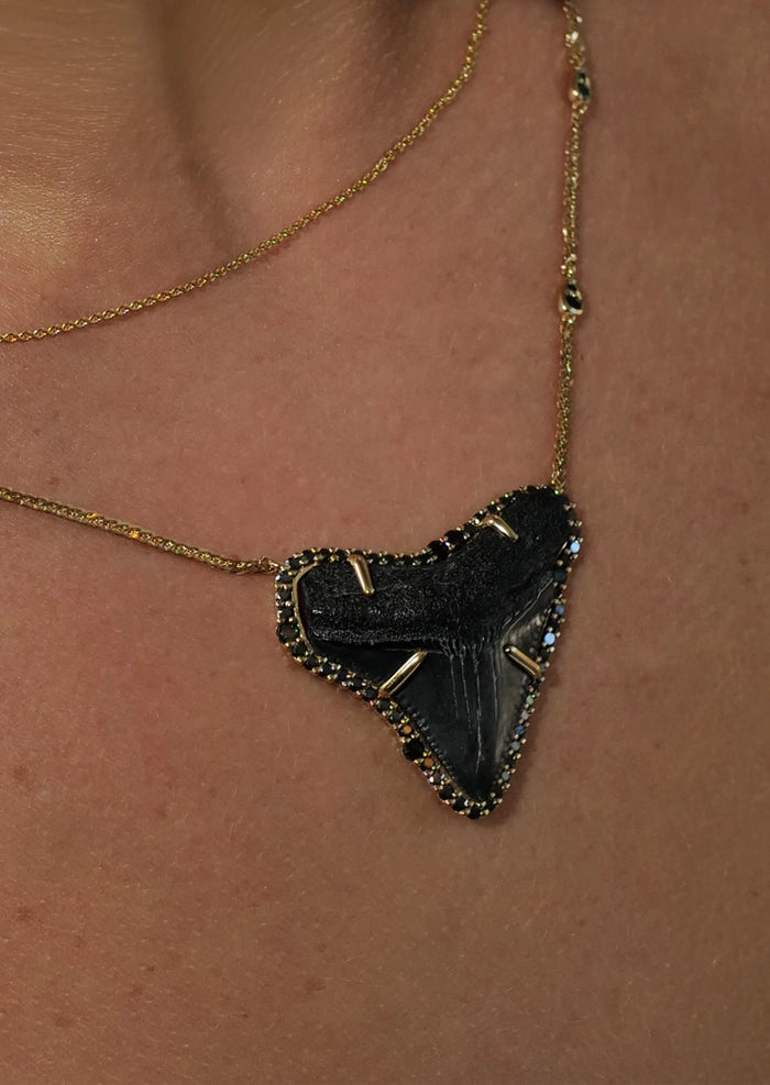 Megalodon Shark Tooth Necklace