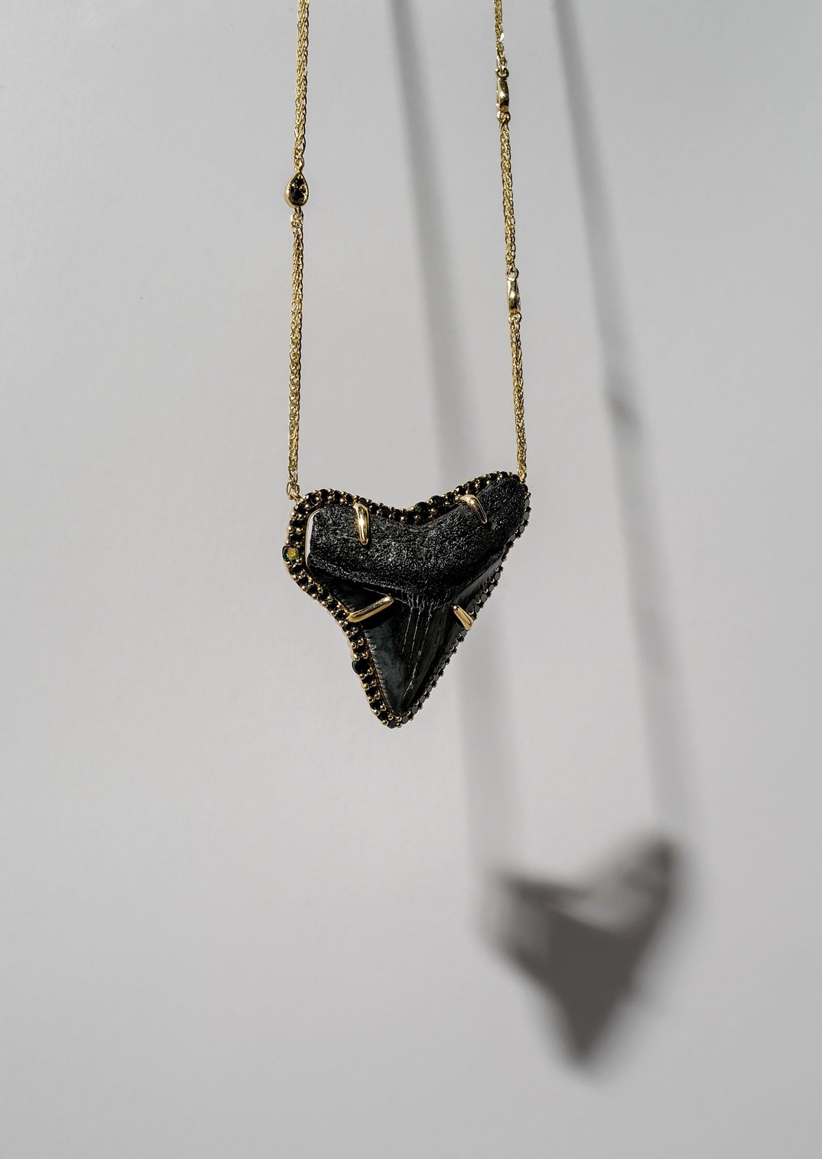 Megalodon Shark Tooth Necklace