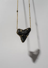 Megalodon Shark Tooth Necklace