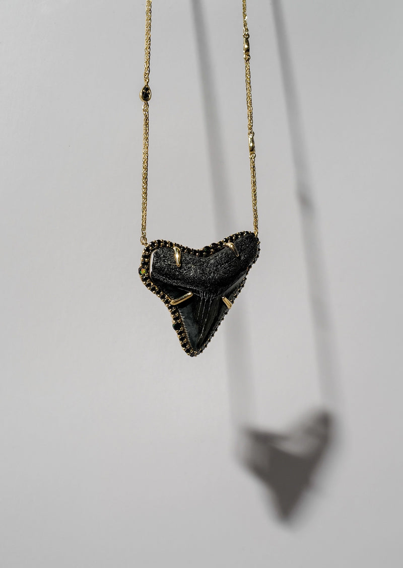 Megalodon Shark Tooth Necklace