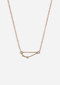 Capricorn Zodiac Necklace