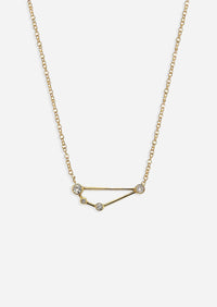 Capricorn Zodiac Necklace