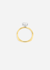 The D'Arcy Ring