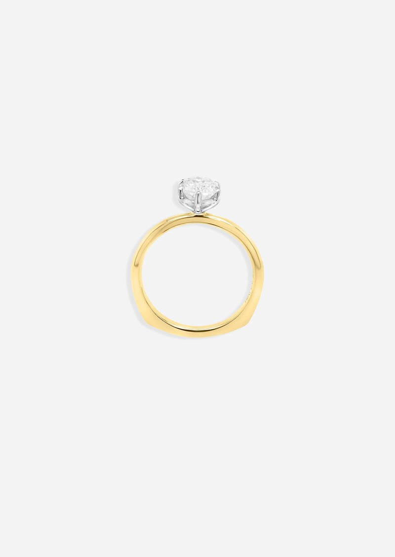 The D'Arcy Ring
