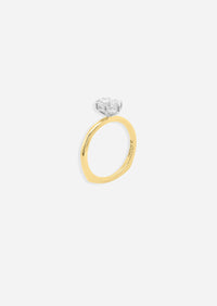 The D'Arcy Ring