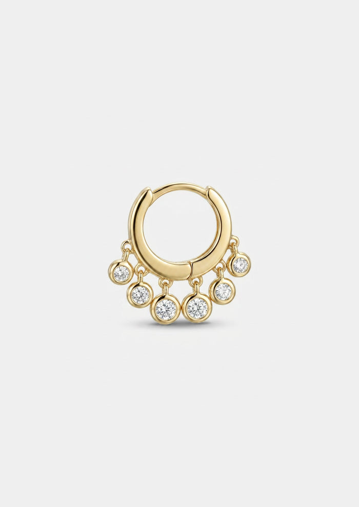 Diamond Shaker Hoop