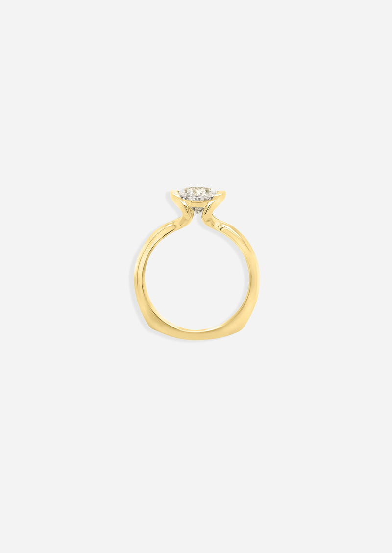 The Laurens Ring