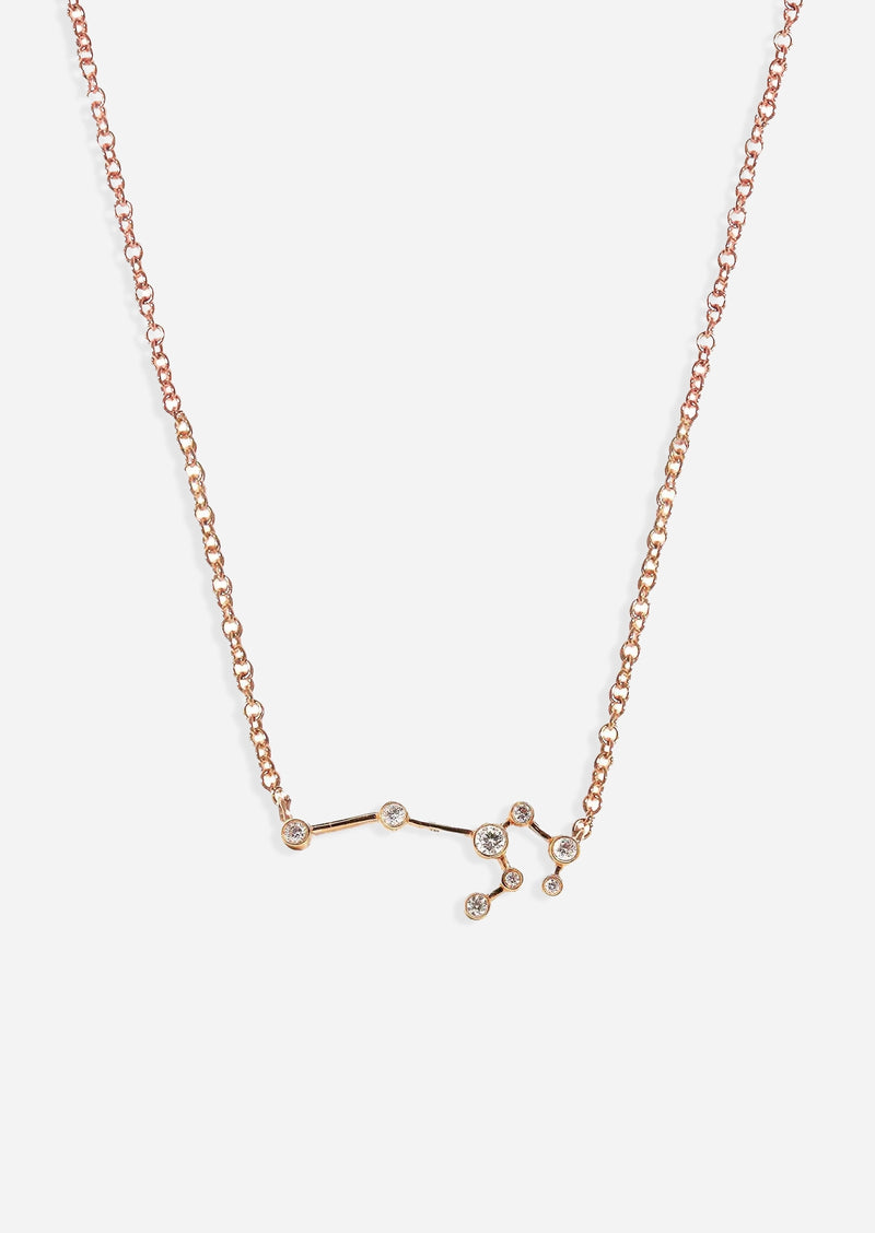 Leo Zodiac Necklace
