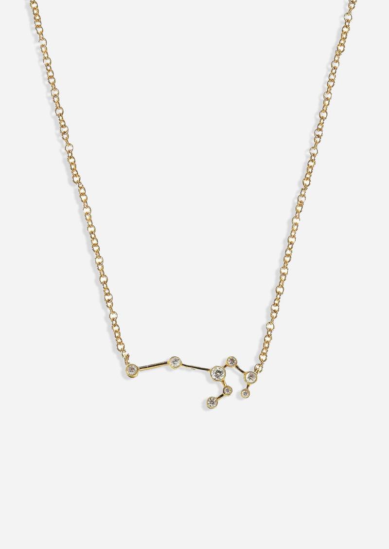 Leo Zodiac Necklace 14K Gold – Porter Lyons - Main Image