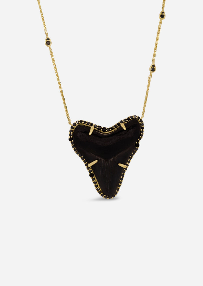 Megalodon Shark Tooth Necklace