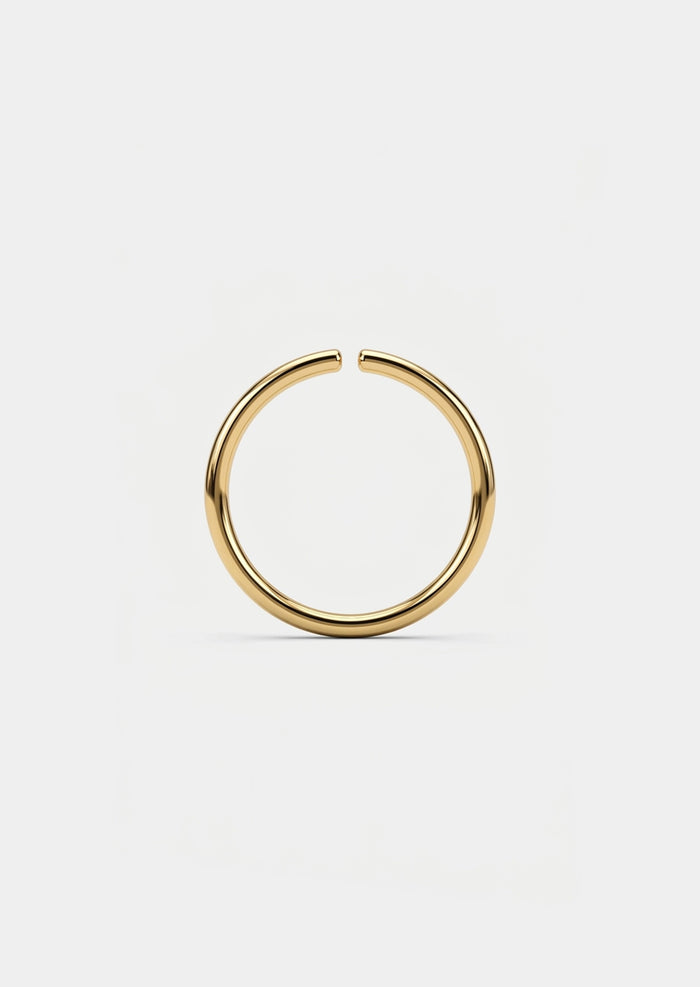 Seamless Gold Hoop