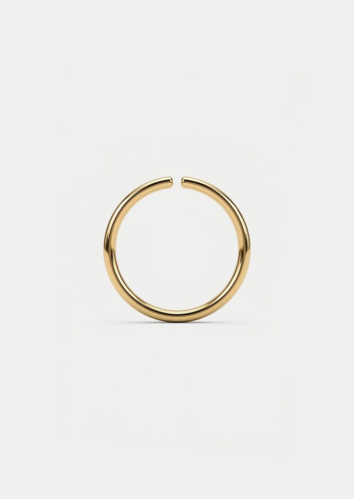 Seamless Gold Hoop
