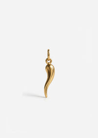 Tongue of Fire Charm