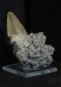 Sweetwater Calcite Cluster