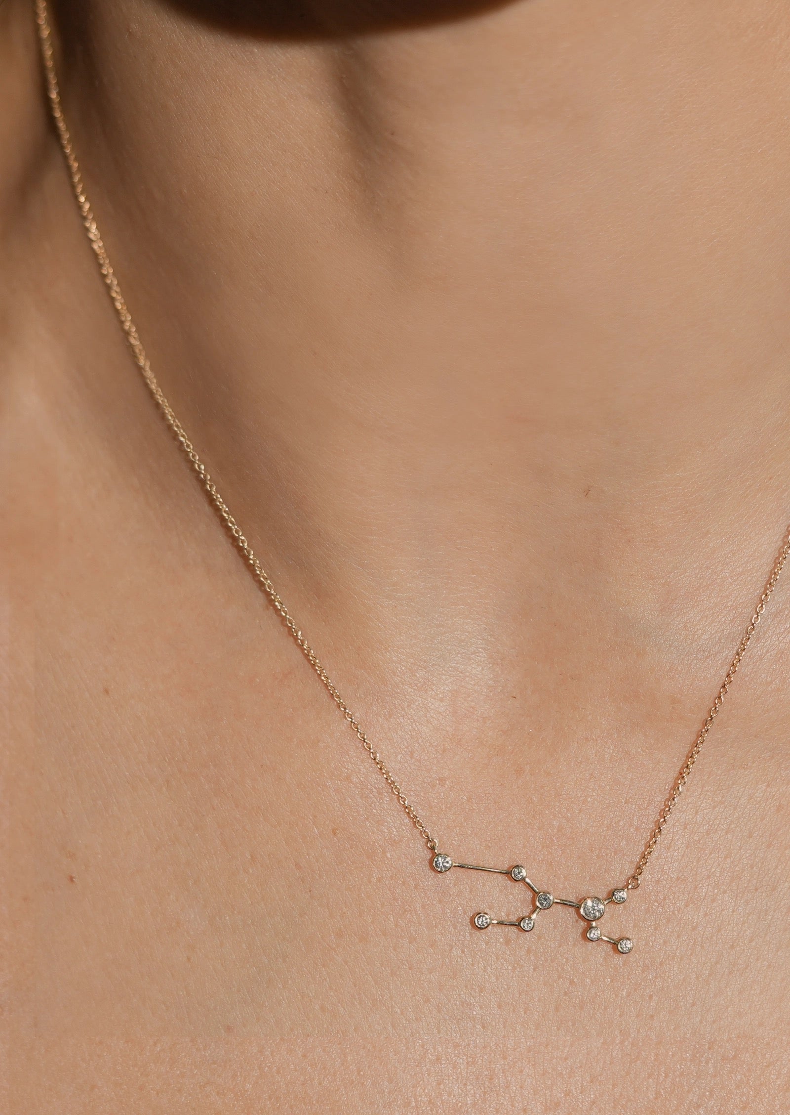 Virgo Zodiac Necklace | 14K Gold – Porter Lyons