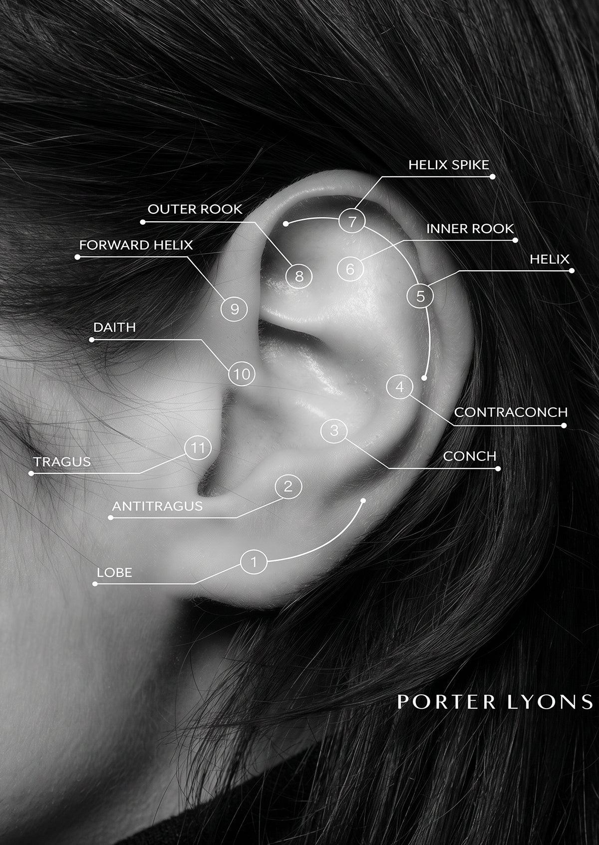 Adult Ear Piercing Appointment