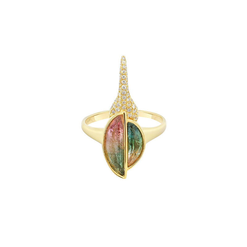 Hercules Beetle Strength Ring | 3.30GMS 1.60CTW | Watermelon Tourmaline