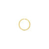 Seamless Gold Hoop | .3GMS | Single