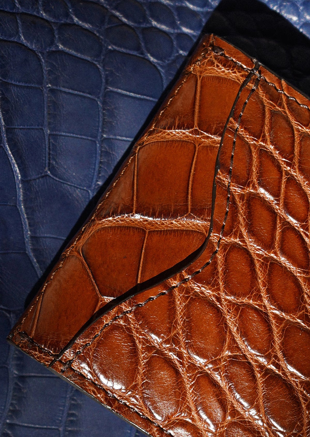 The Alligator Wallet