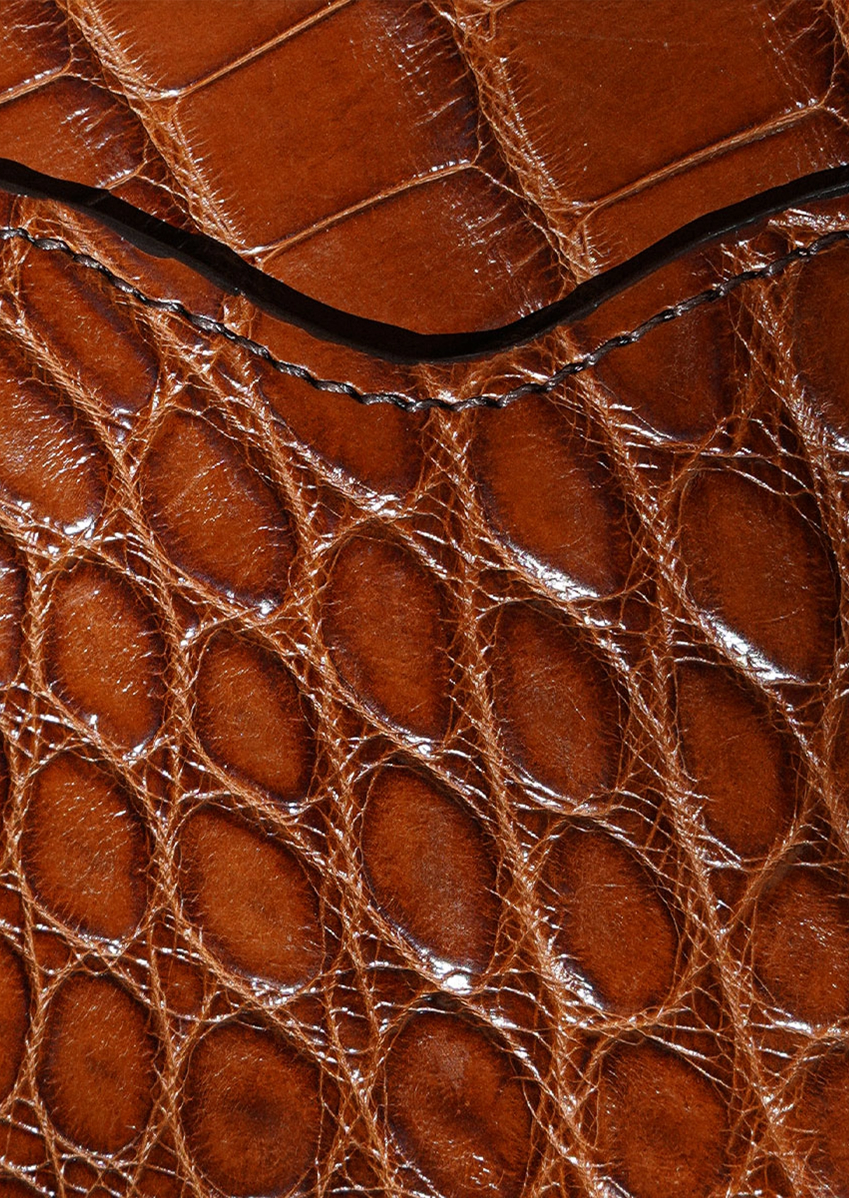 The Alligator Wallet