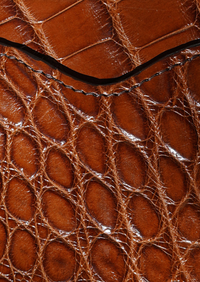 The Alligator Wallet