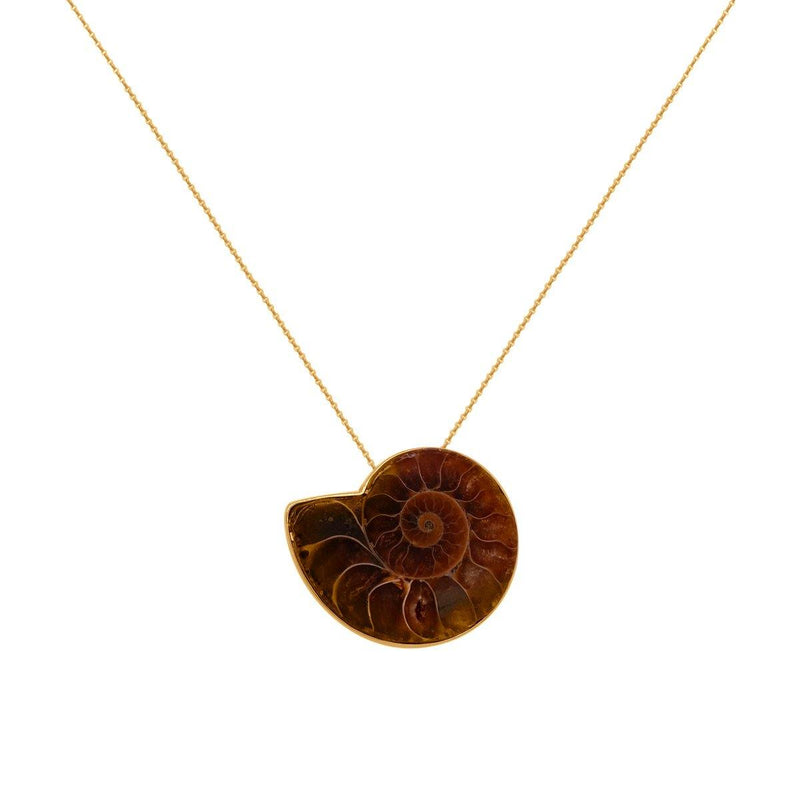 Custom Ammonite Necklace - Porter Lyons