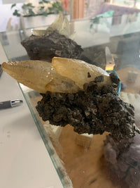 Sweetwater Calcite Cluster - Porter Lyons