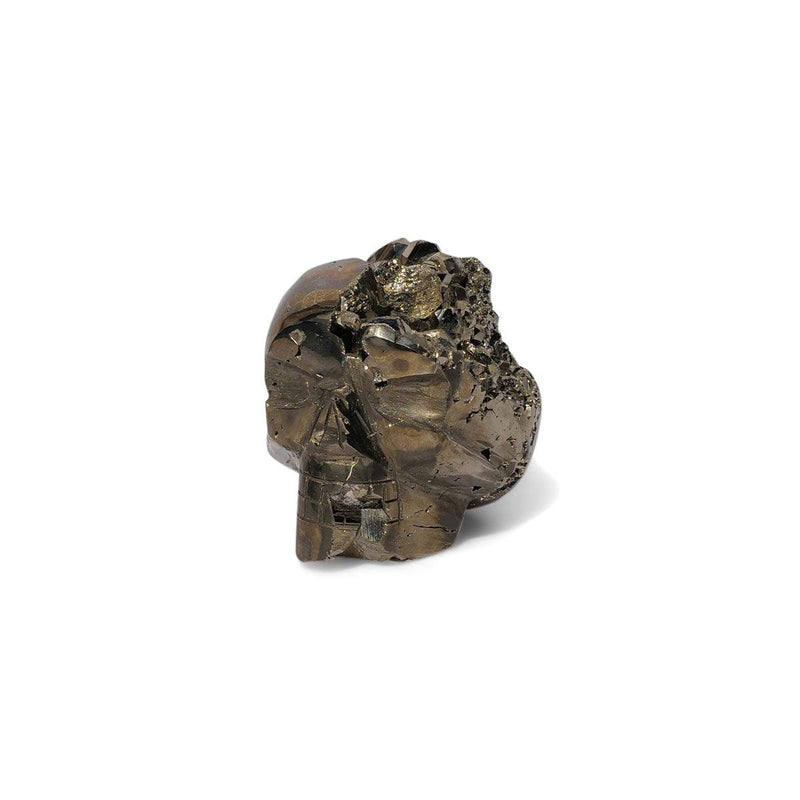 Pyrite Skull - Porter Lyons