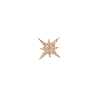 Starburst Earring | .69GMS .06CT | Single - Porter Lyons